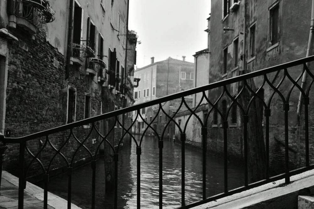 Photograph by Natasha Sharbur
