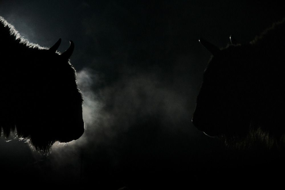Photograph by Николай Потапов