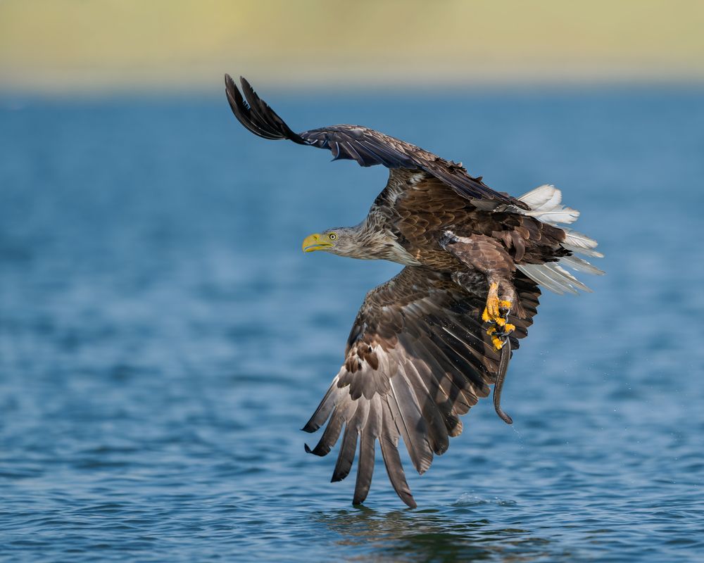Photograph by Ruzhdi Ibrahimi