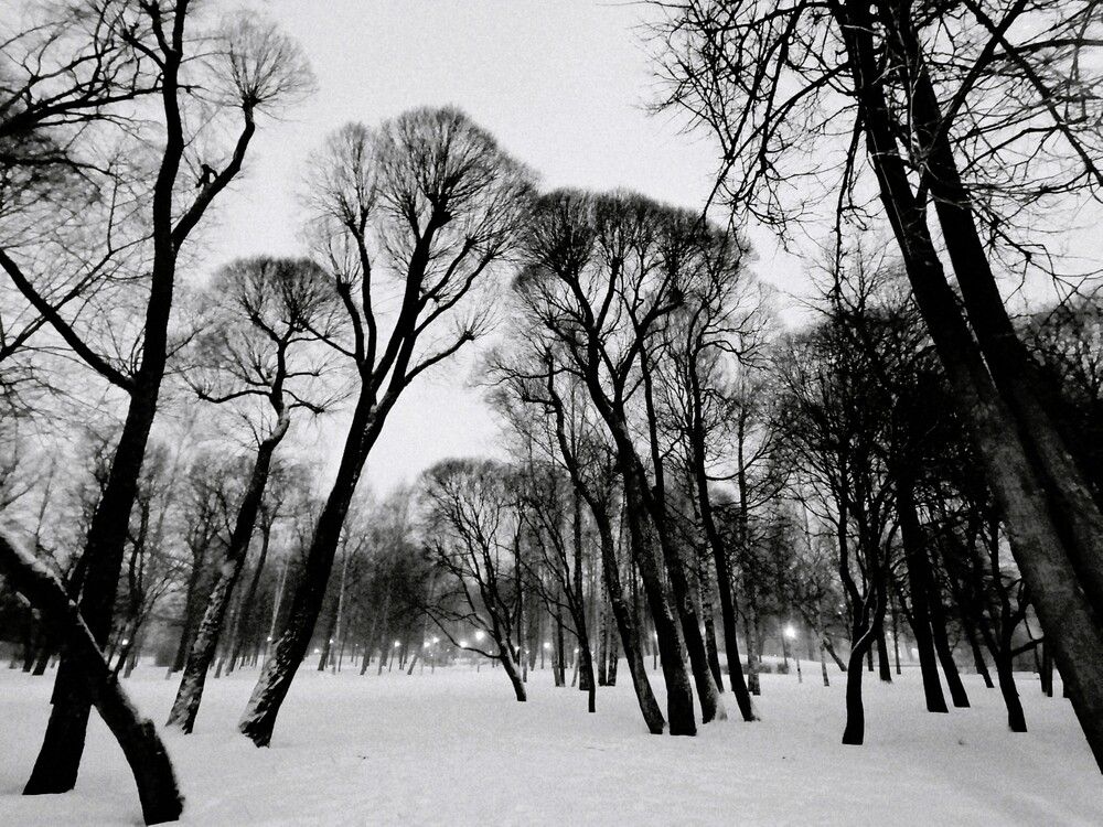 Фотография #13360696