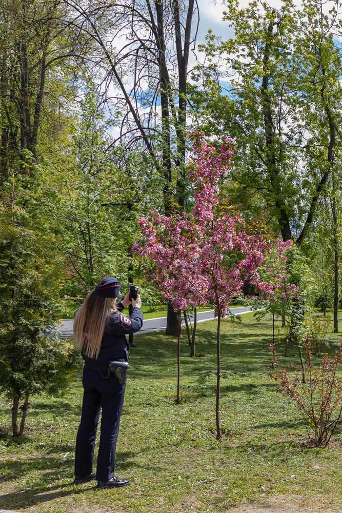 Photograph by Светлана Верзилина