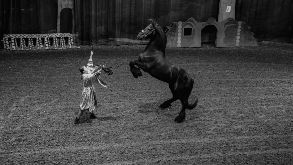 Photograph by Вадим Копилец