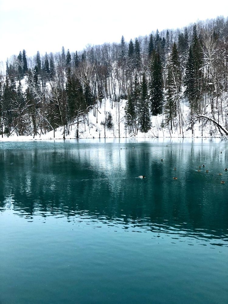 Photograph by Валерия Шишлова