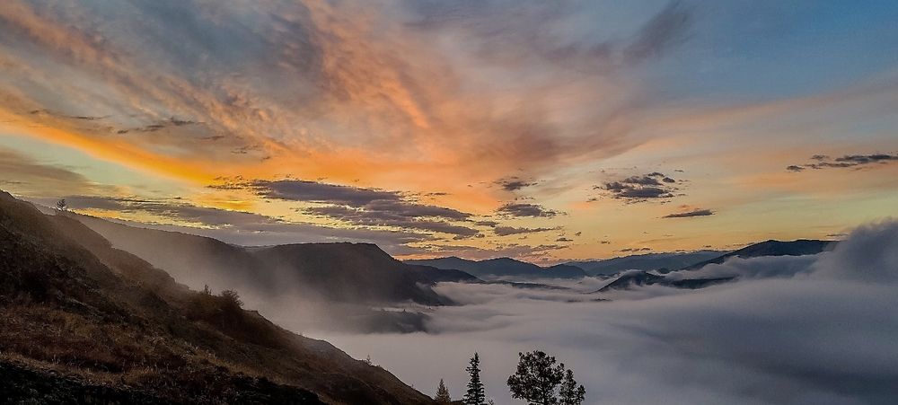 Photograph by Лариса Буракова