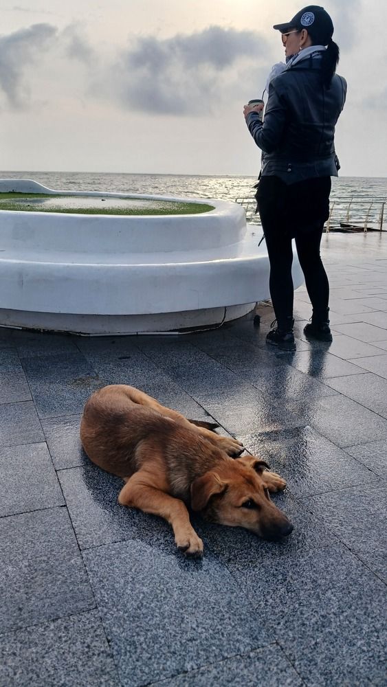 Грустная любовь