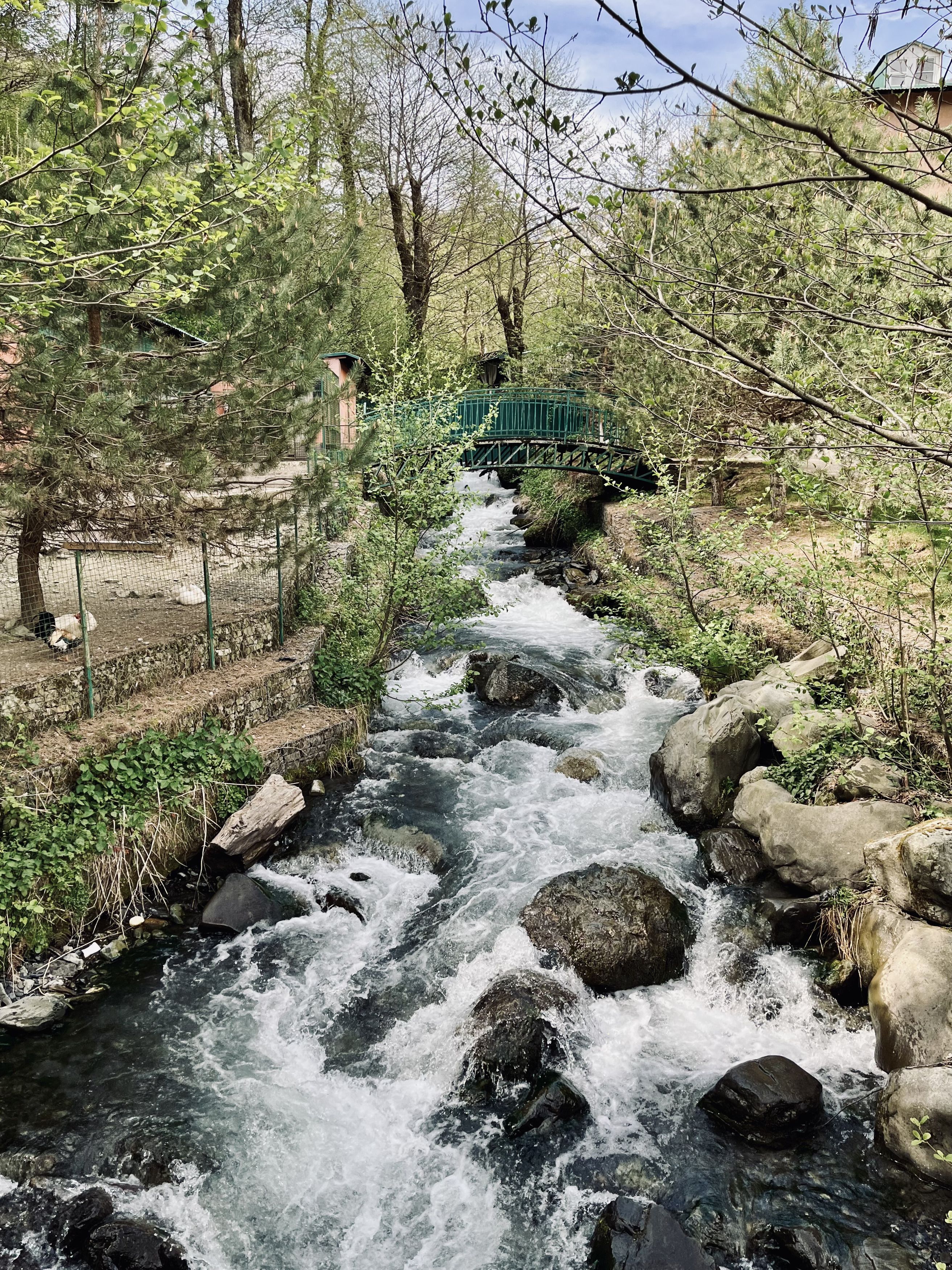 Photograph by Ирина Селиверстова