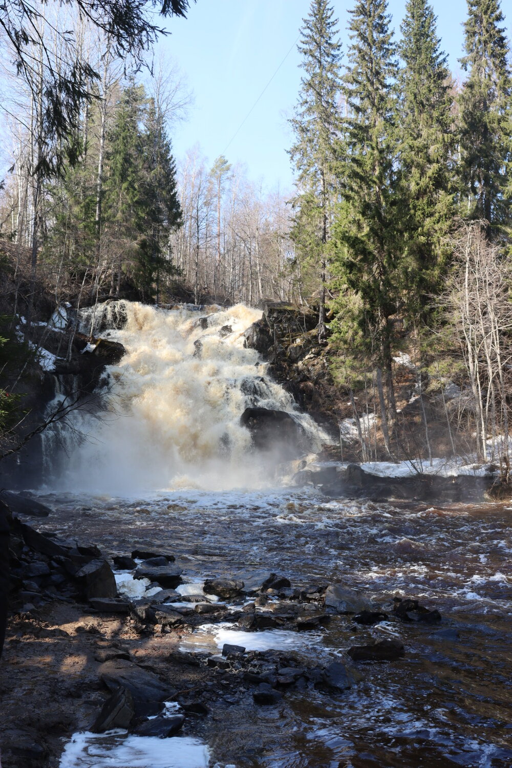 Photo #13360877