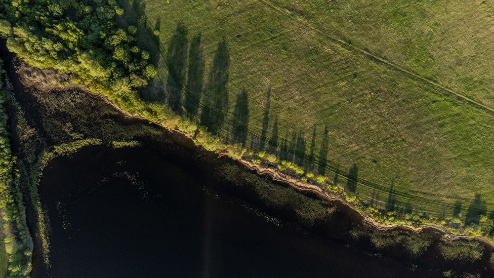 Photograph by Алексей