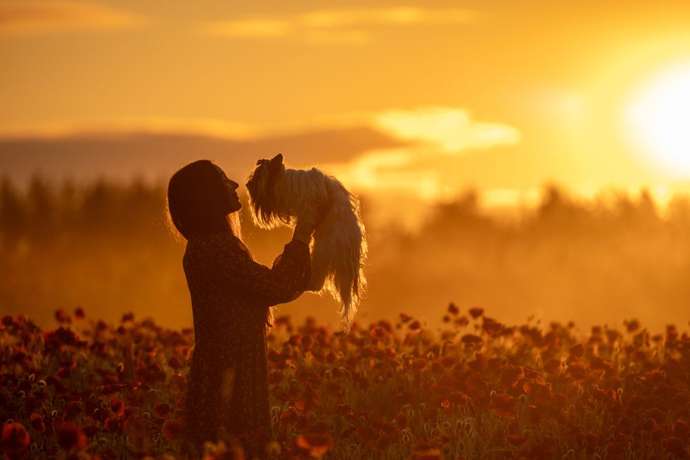 Photograph by Rahim Rahimov