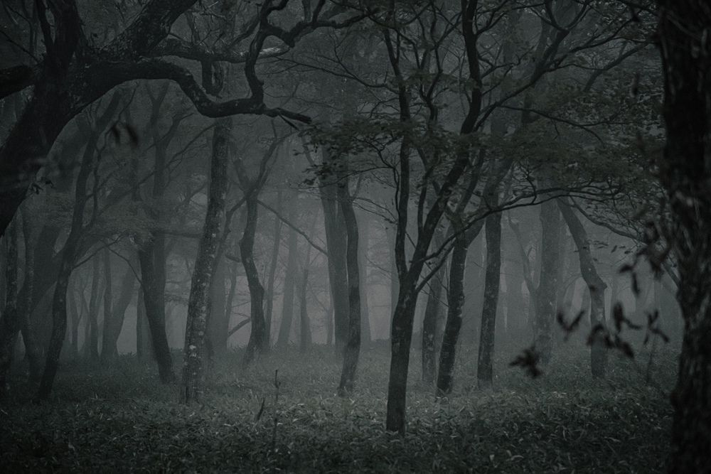 Photograph by Iwamoto Reina