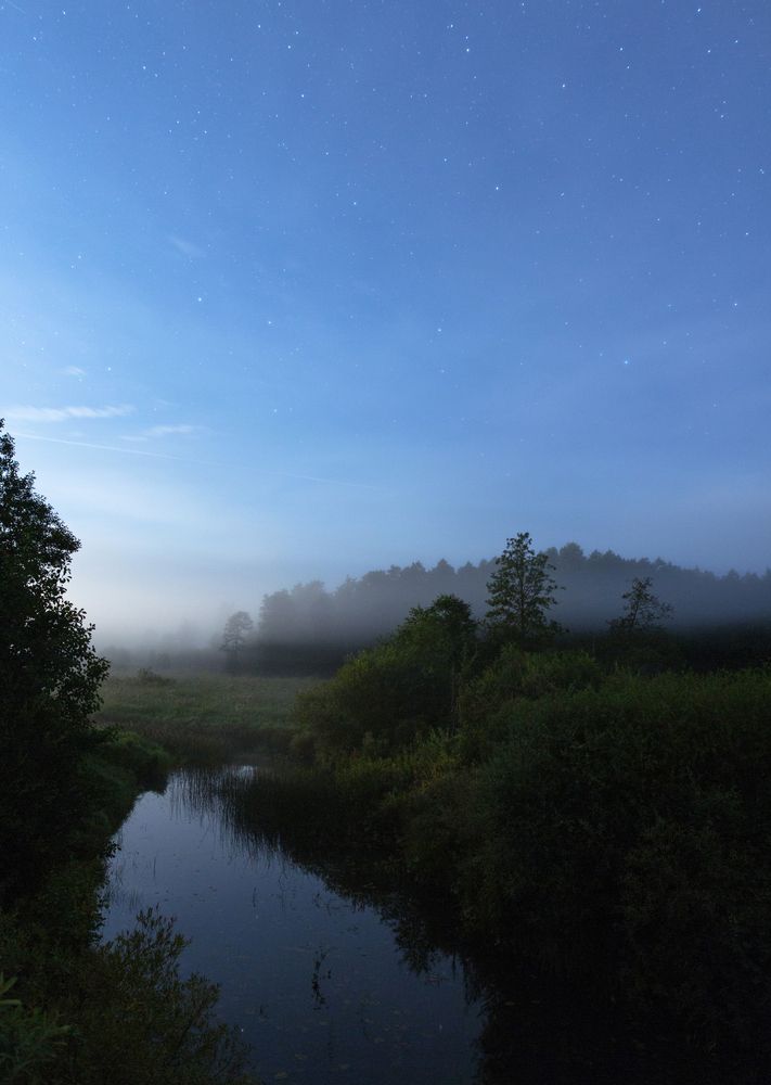 Photograph by Ivan Chestnykh
