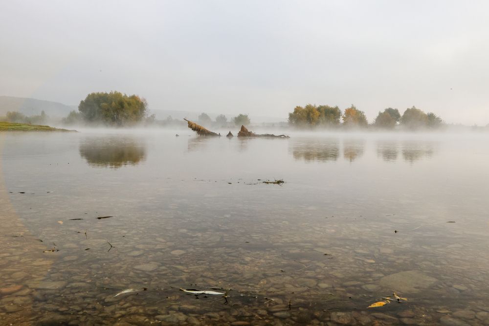 Photograph by Александр Шептикин