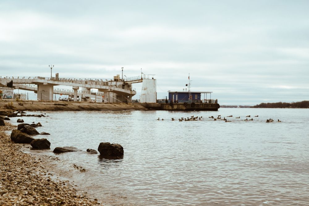 Фотография автора Дарина Фельдман