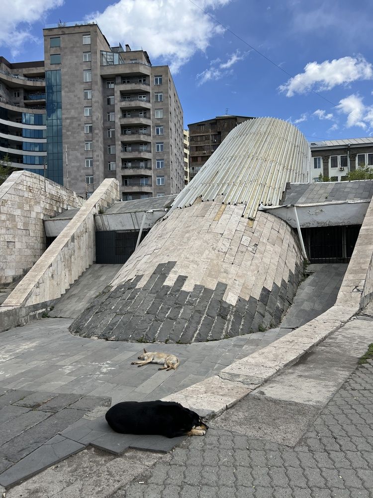 Фотография автора Светлана Малаховская