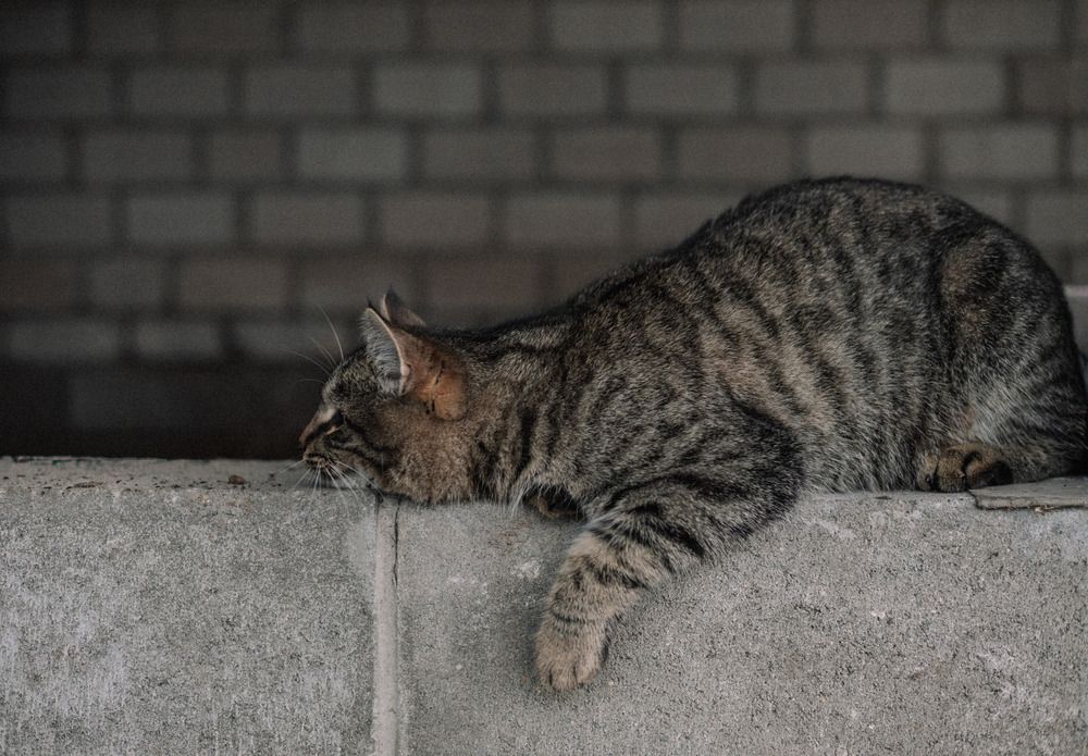 Photograph by Сергей Коляда