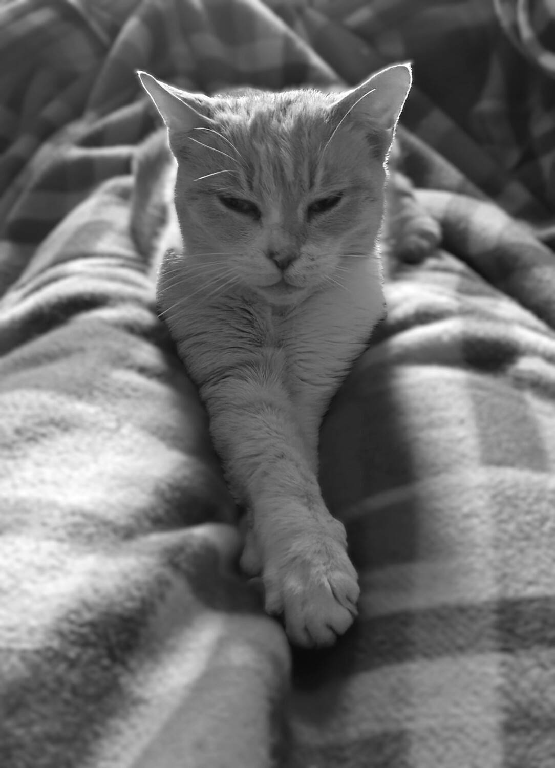 Photo #13361357