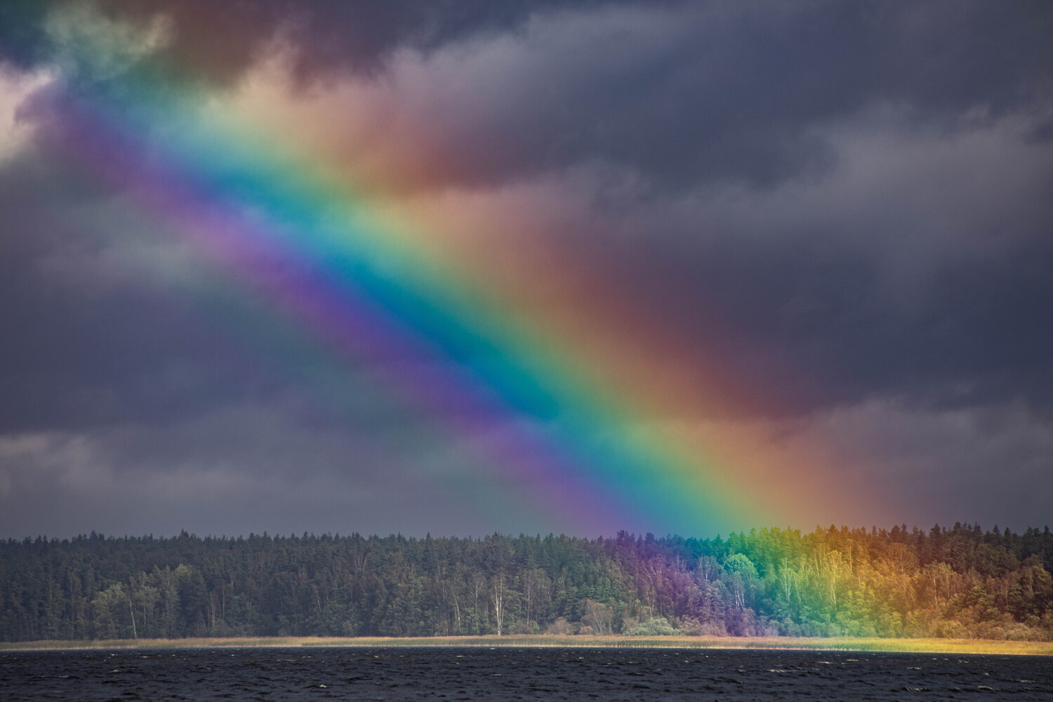 Photo #13361429