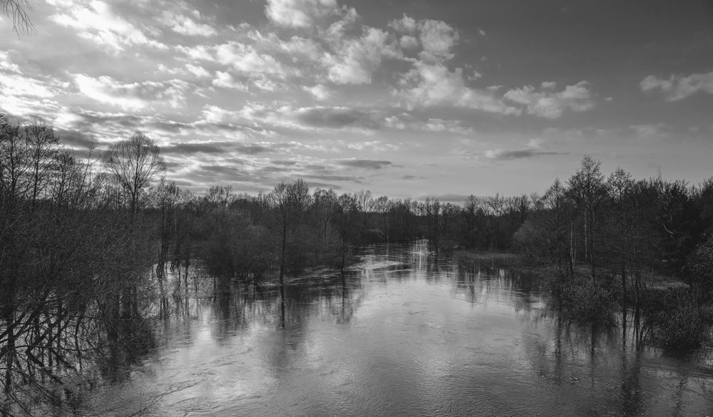 Фотография автора Владимир Васильев