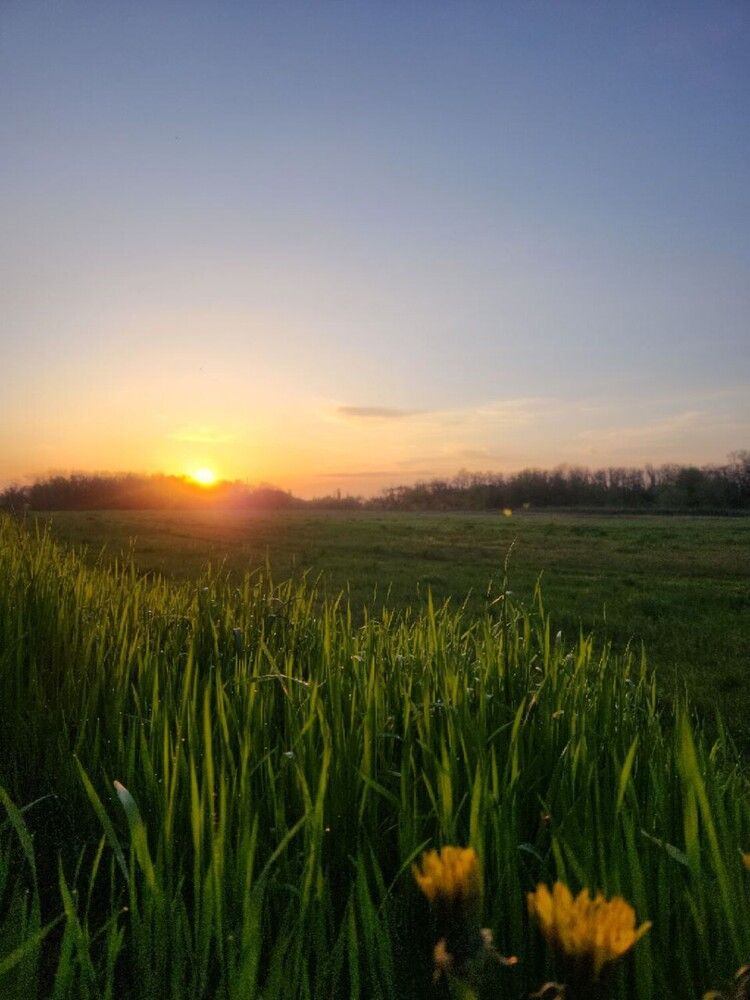 Photograph by Татьяна Костенко