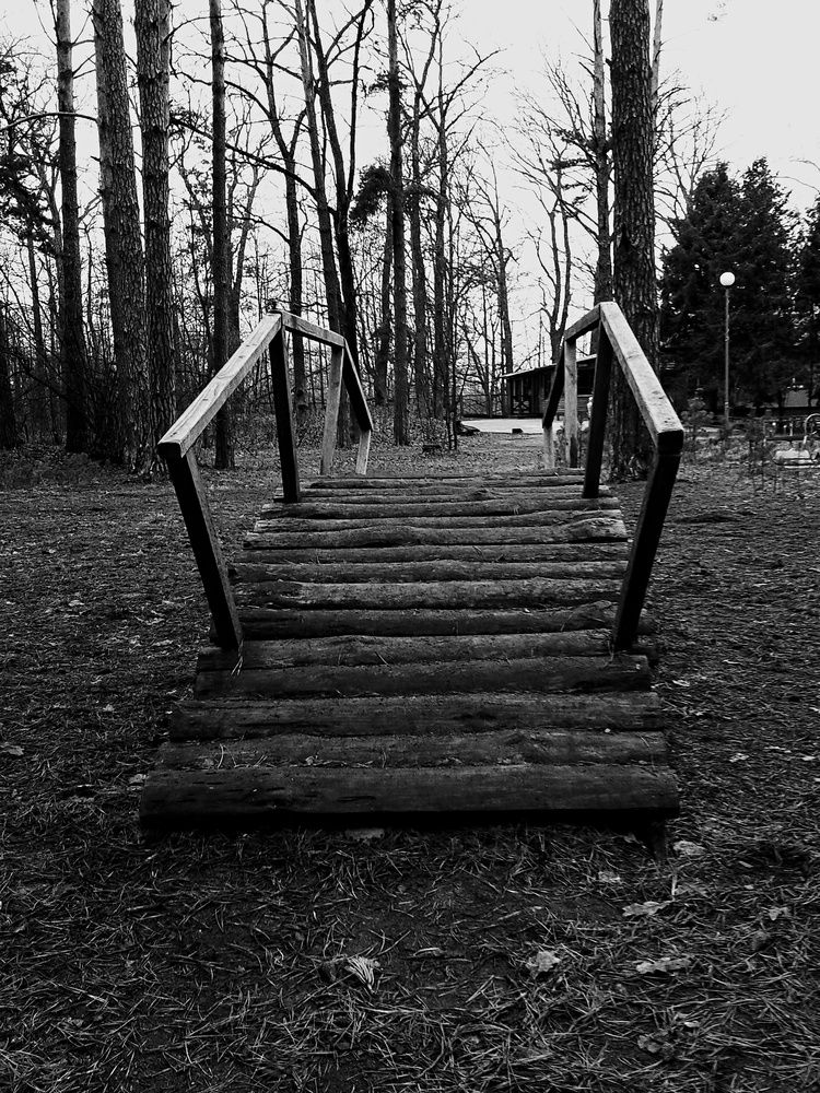 Photograph by Евгений Козлов