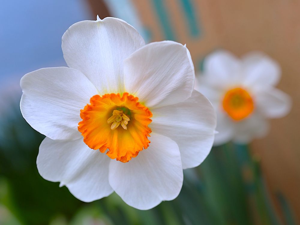 Photograph by Гагик Саркисян