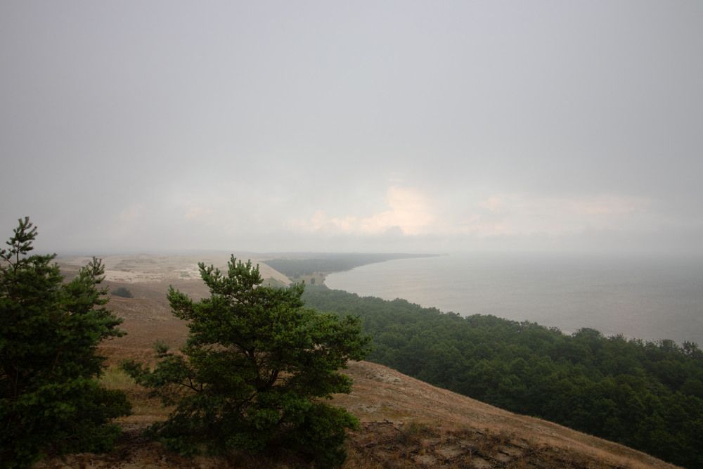 Photo #13361670