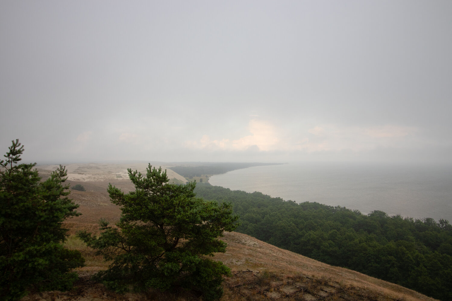 Photo #13361670