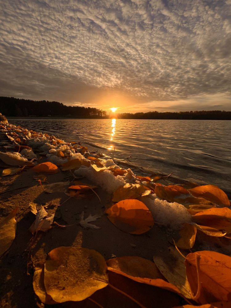 Photograph by Елена Башмакова
