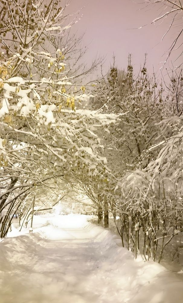 Photograph by Юлия Холомцева