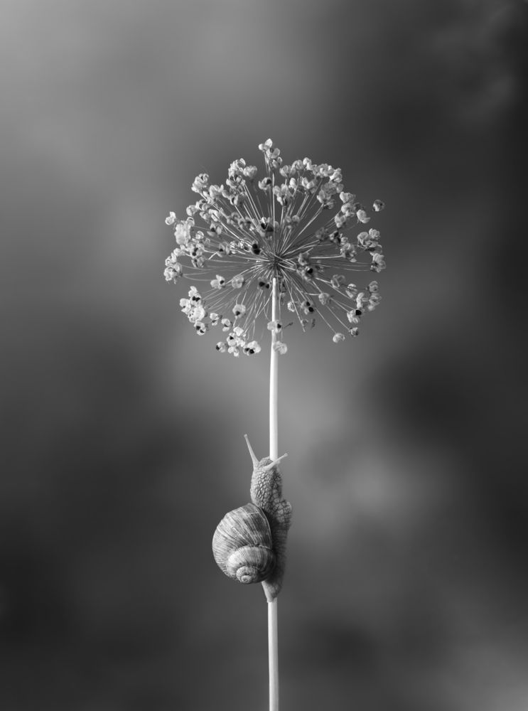 Путь к вершине