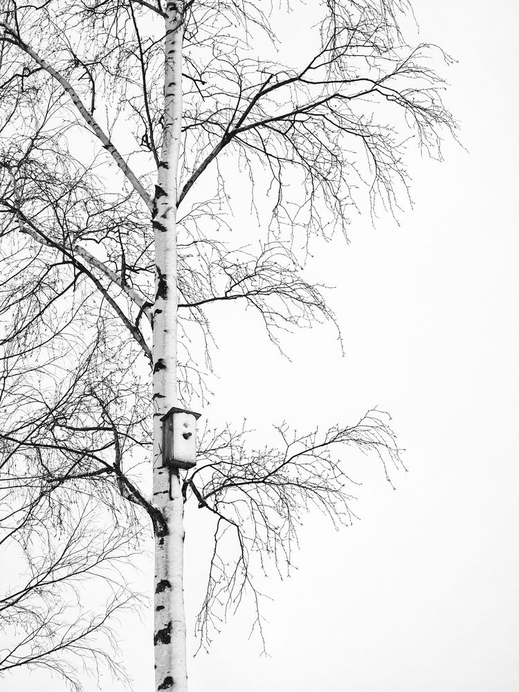 Photograph by Инна Мухина