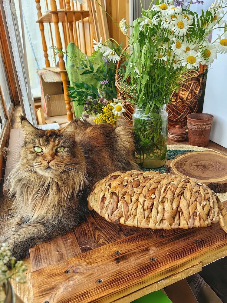Photograph by Оксана Шенина