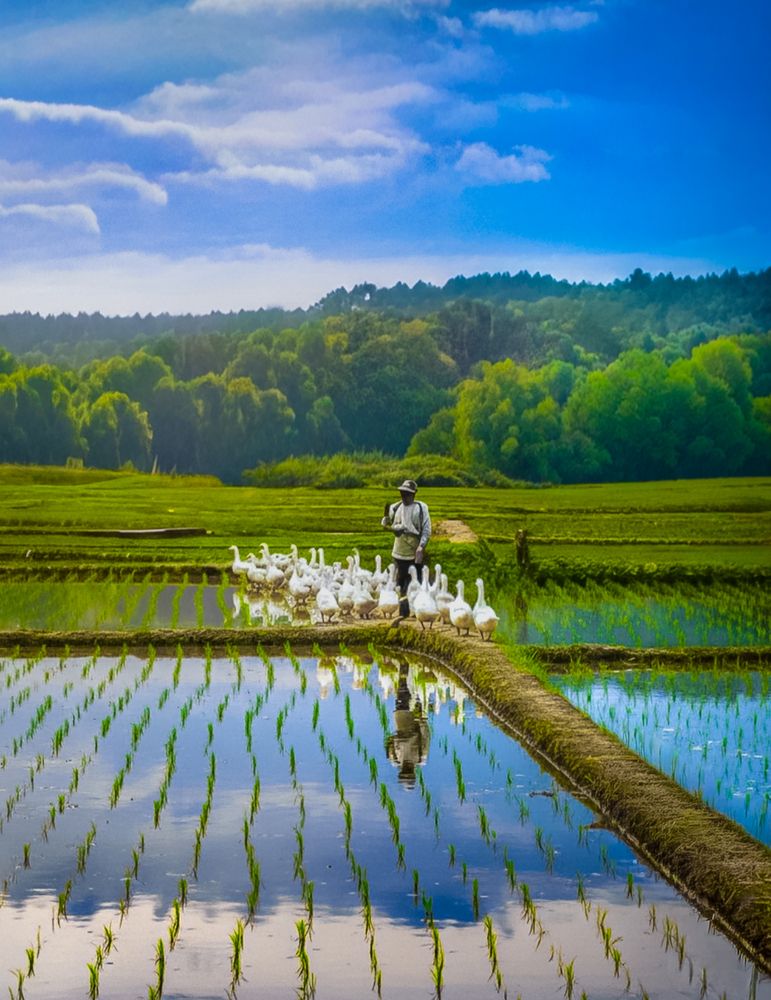 Photograph by Edi Hidayat