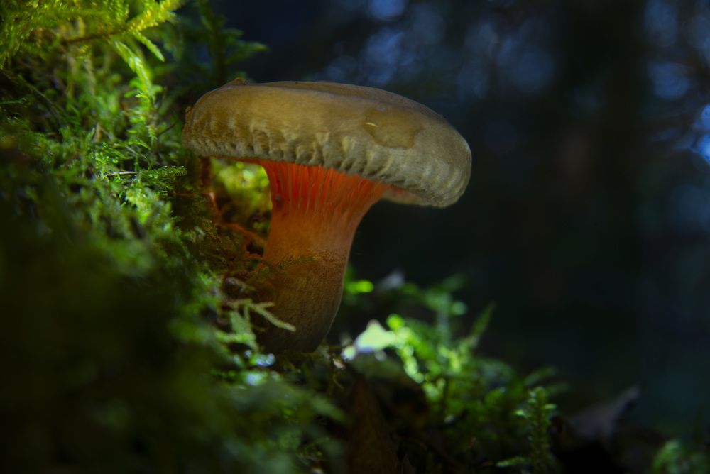 Photograph by Андреев Роман