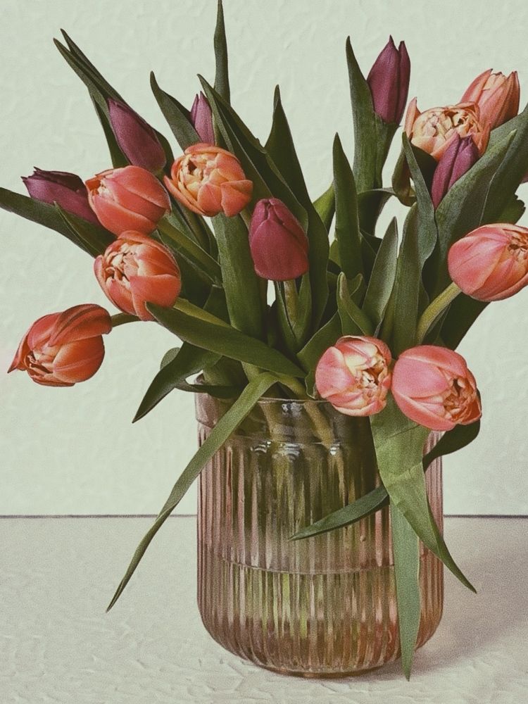 Photograph by Anastassia D