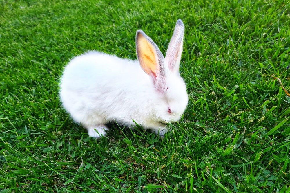 Photograph by Нели Арнаудова