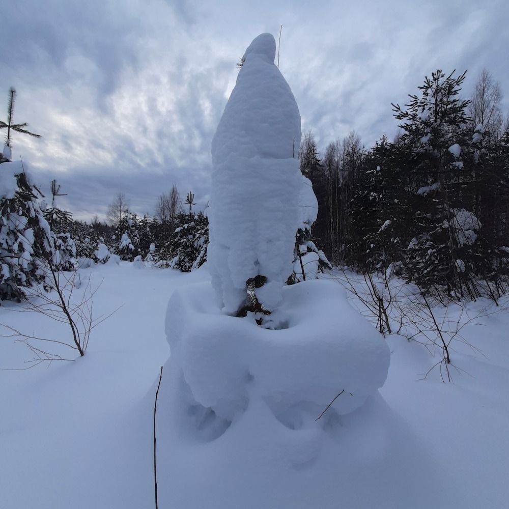 Снежный монумент (сосна под снегом)