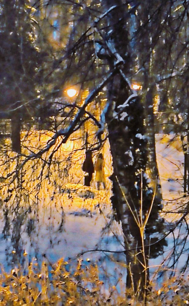 Встреча в парке