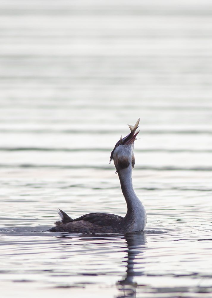 Photograph by Ольга Кукареко