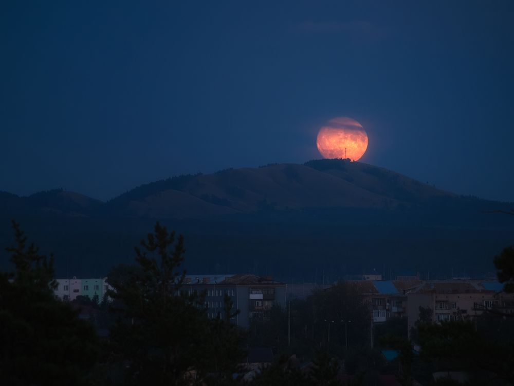 Photograph by Алексей