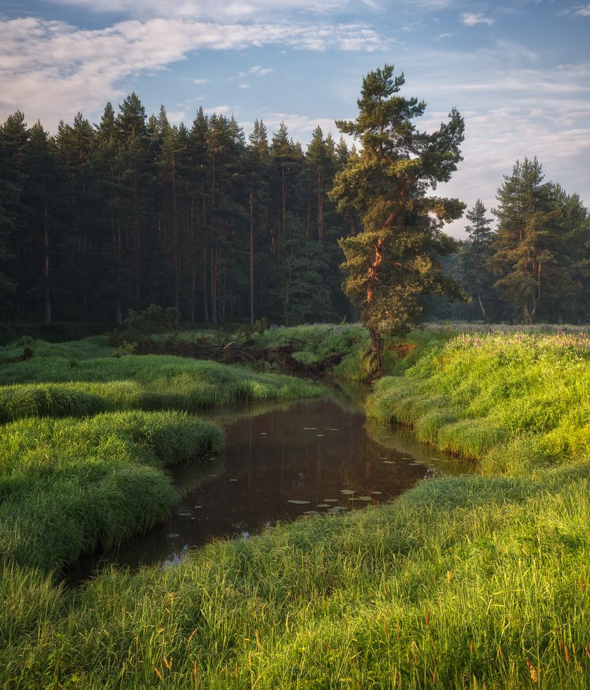Photograph by Алексей