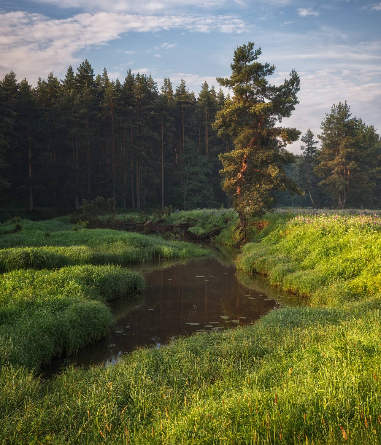 Фотография #13362044