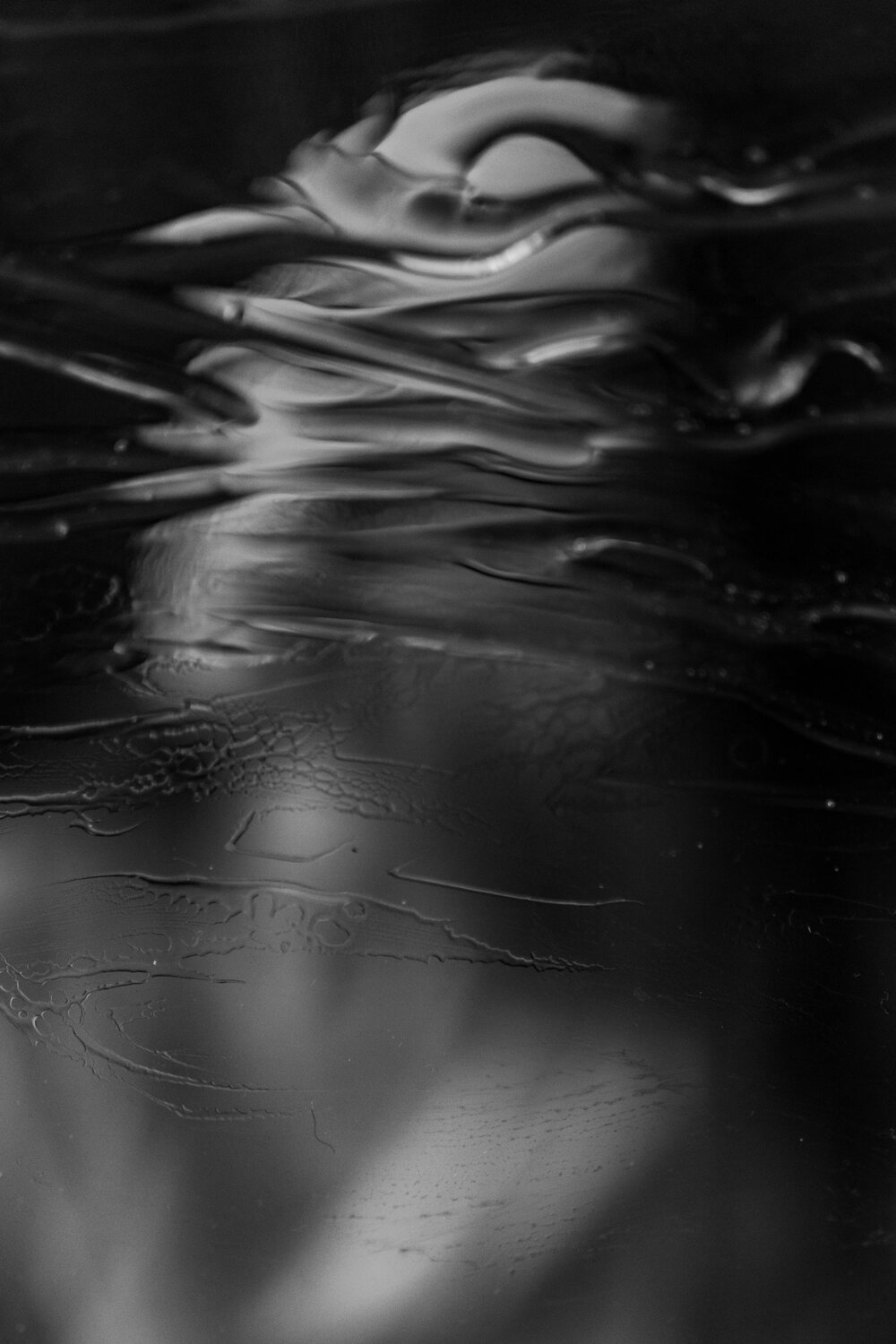 Photo #13362124