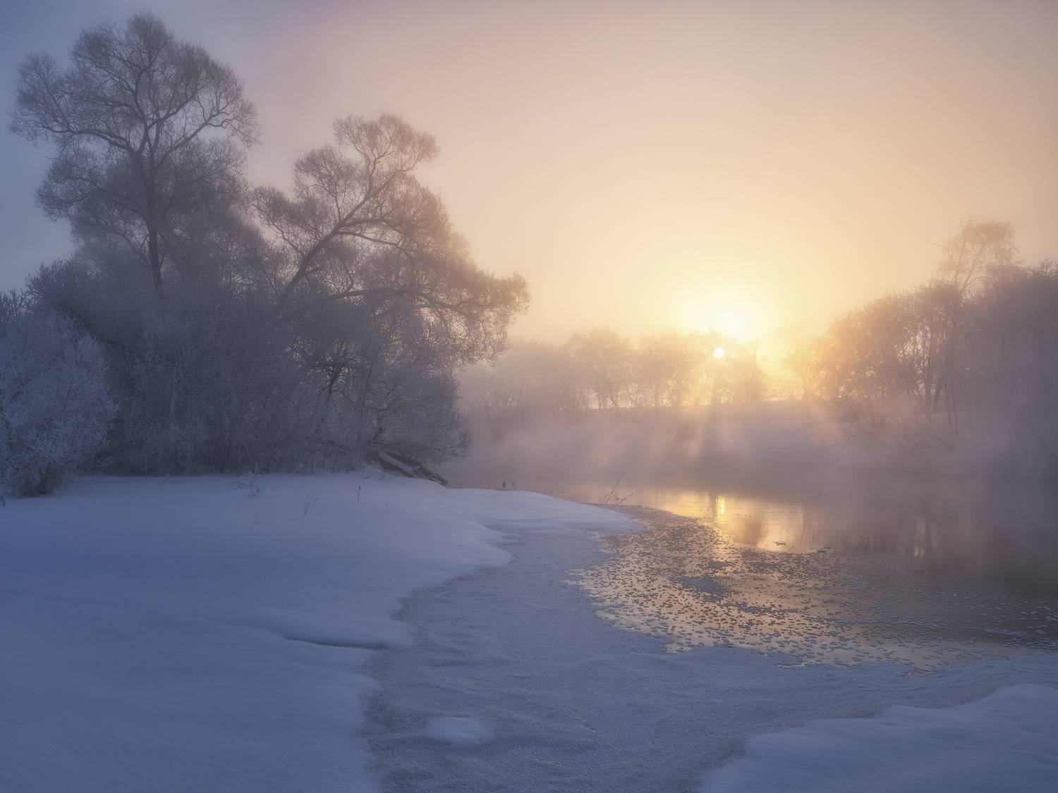 Фотография #13362132