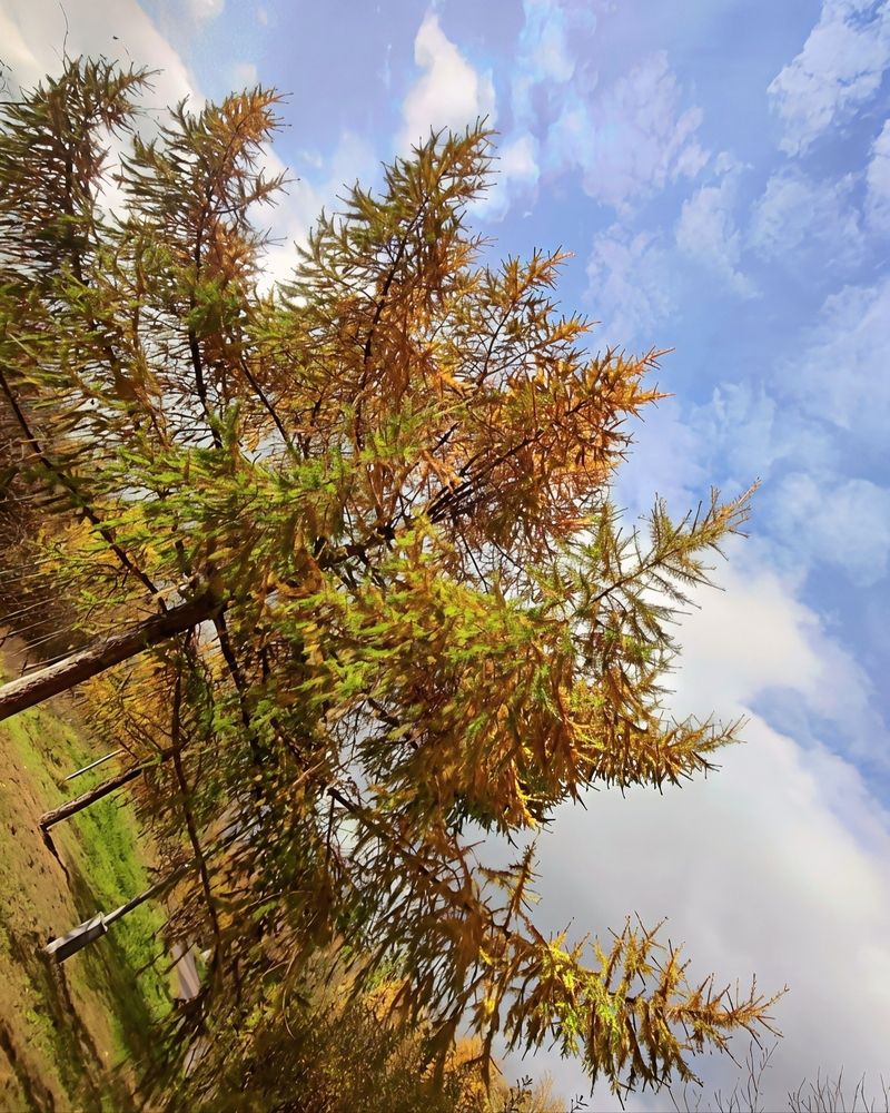 Photograph by Юлия Холомцева