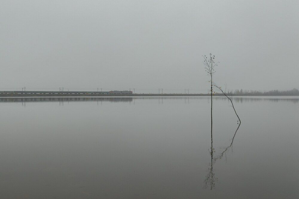 Photograph by Константин Микая