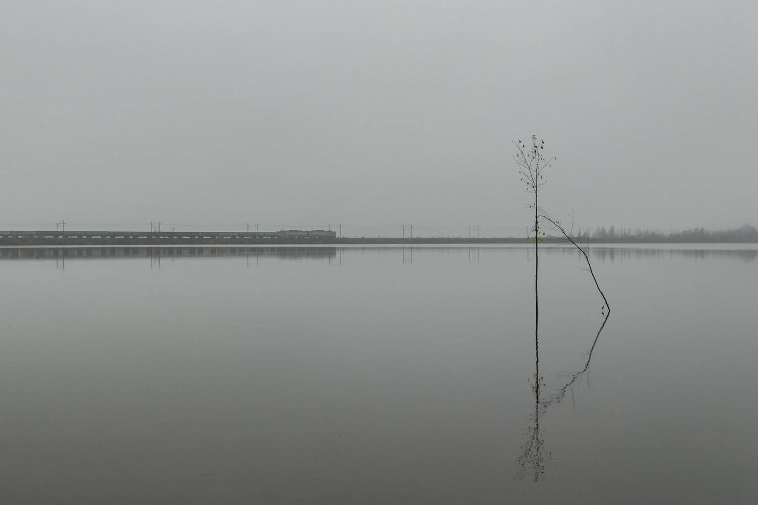 Photo #13362215