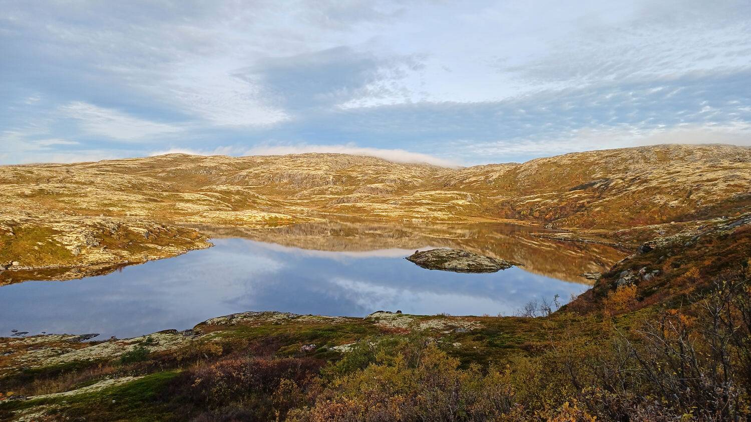 Фотография #13362229