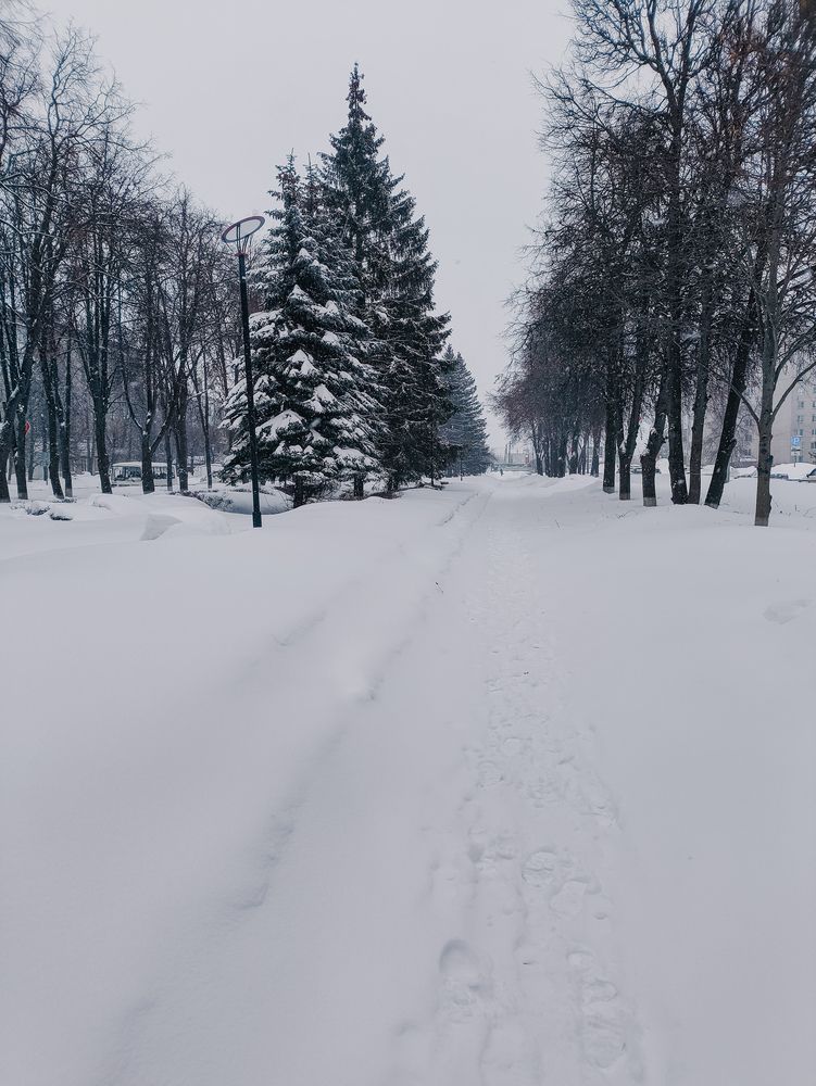 Photograph by Юрий Богачев
