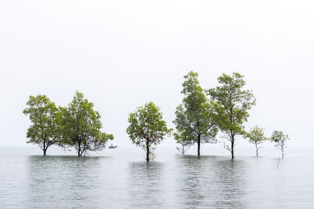 Photograph by Uku Sööt